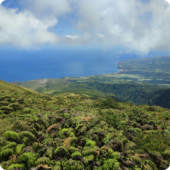 5 Schritte nach Lanzarote